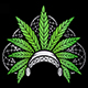Native Leaf Cannabis